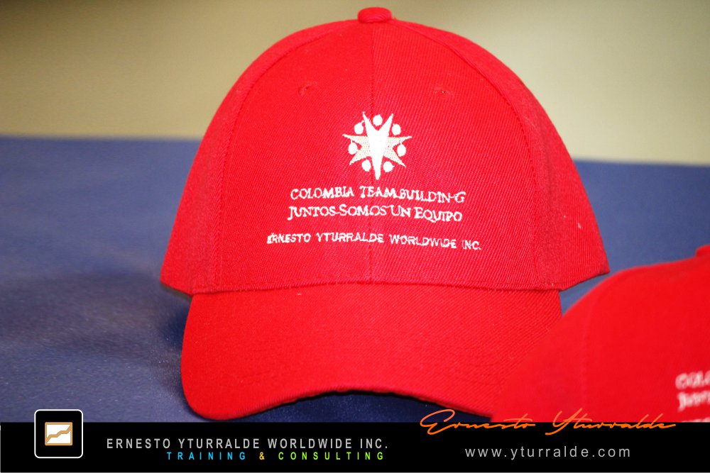 Taller corporativo de cuerdas orientado al desarrollo de equipos de alto desempeño